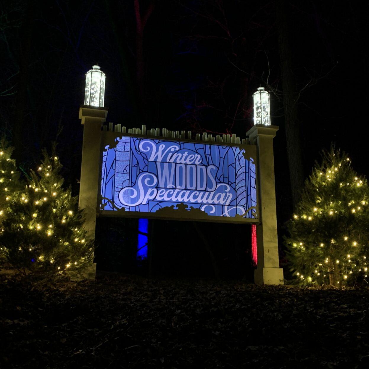 Winter Woods Spectacular (1).JPG